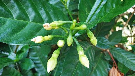 《命运2》普通话配音8月23日全面上线 涵盖所有DLC扩展